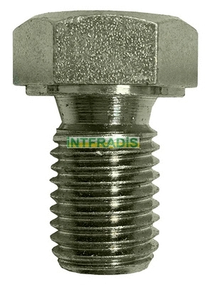 Screw Plug, oil sump (305)