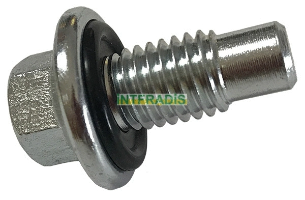 Screw Plug, oil sump (303)