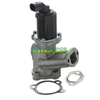 EGR Valve (2553)