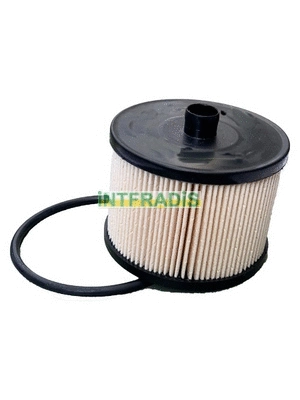 Fuel Filter (1011211)