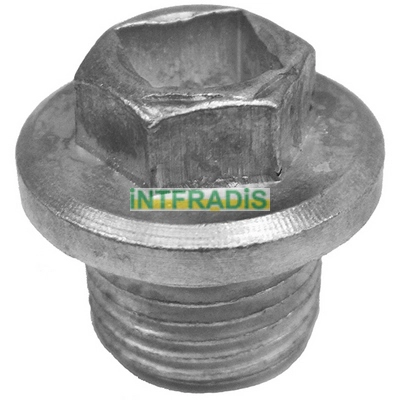 Screw Plug, oil sump (293)