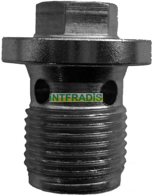 Screw Plug, oil sump (298)