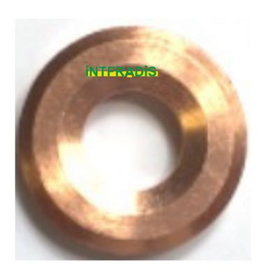 Seal Ring, nozzle holder (10153)