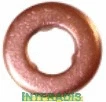 Seal Ring, nozzle holder (10143)