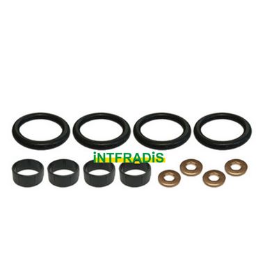 Seal Kit, injector nozzle (10126K)