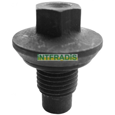 Screw Plug, oil sump (302)