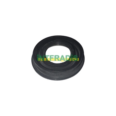 Seal Ring, nozzle holder (10622)