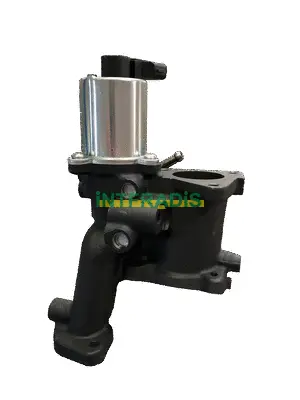 EGR Valve (25564)