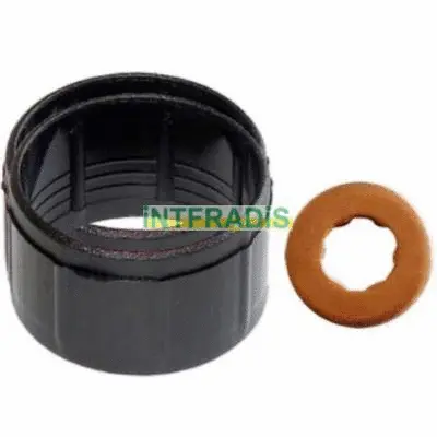 Seal Kit, injector nozzle (10127)