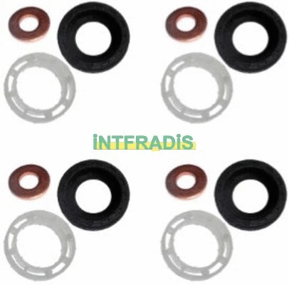 Seal Kit, injector nozzle (10199K4)