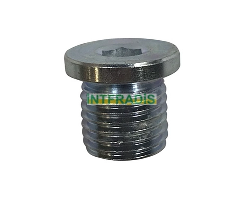 Screw Plug, oil sump (297)