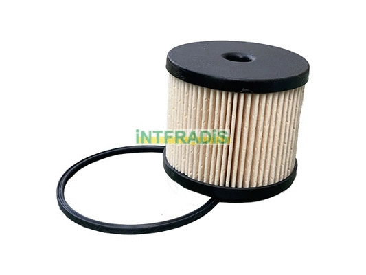 Fuel Filter (1011216)