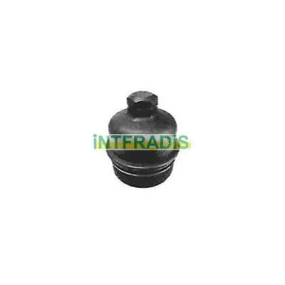Cap, oil filter housing (2991)