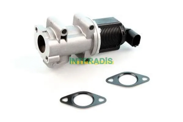 EGR Valve (2550)