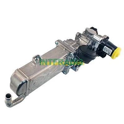 EGR Valve (2594)