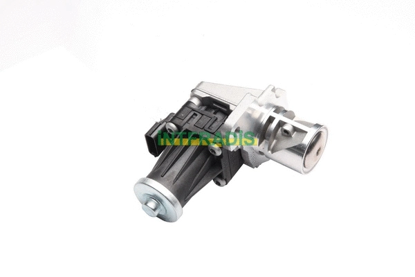 EGR Valve (25752)