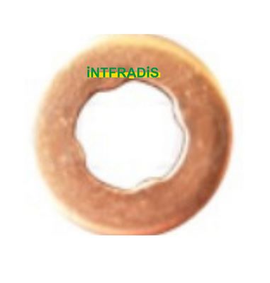 Seal, injector holder (10165BL)