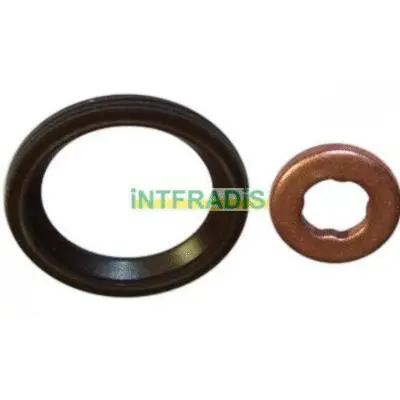 Seal Kit, injector nozzle (10128)