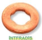Seal Ring, nozzle holder (10198)