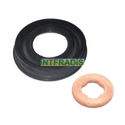 Seal Kit, injector nozzle (10470K)