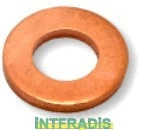 Seal, injector holder (10151BL)