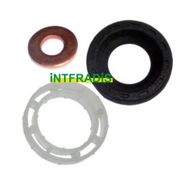 Seal Kit, injector nozzle (10199)