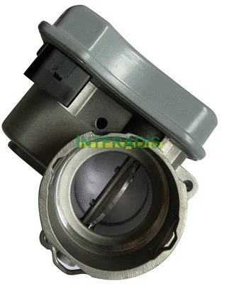 Throttle Body (28088)