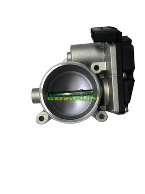 Throttle Body (28110)