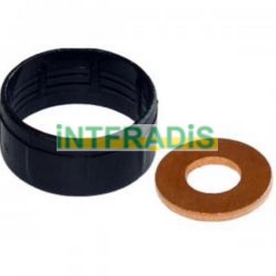 Seal Kit, injector nozzle (10125)