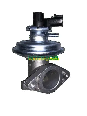 EGR Valve (25619)
