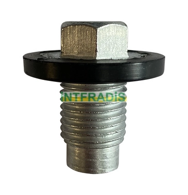 Screw Plug, oil sump (309)