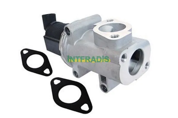 EGR Valve (2551)