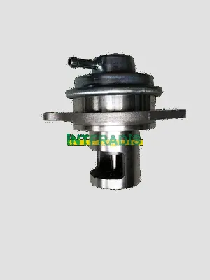 EGR Valve (25455)