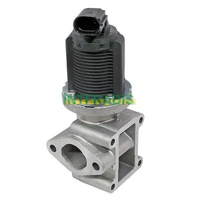EGR Valve (2552)