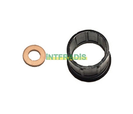 Seal Kit, injector nozzle (10123)