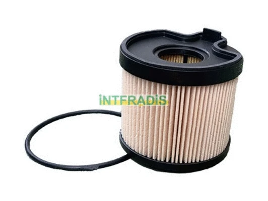 Fuel Filter (1011217)