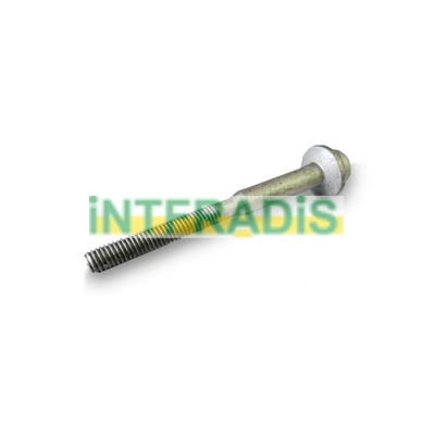Screw, injection valve holder (10490VIS)