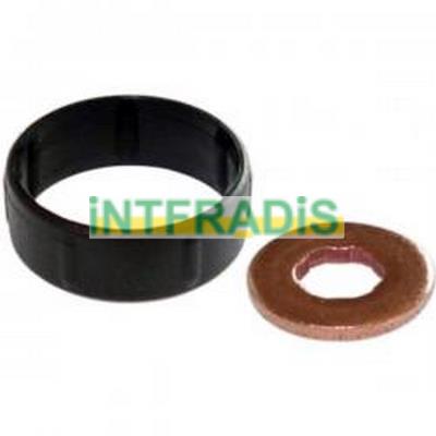 Seal Kit, injector nozzle (10126)