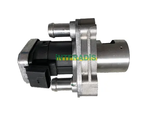 EGR Valve (25451)