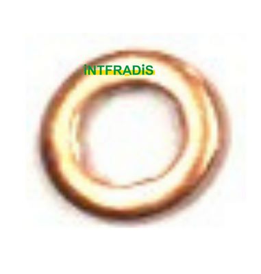 Seal Ring, nozzle holder (10180)