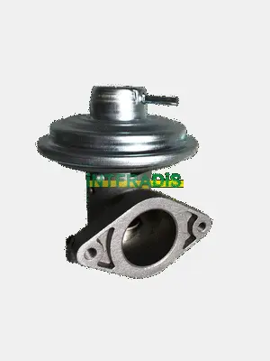 EGR Valve (25618)
