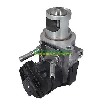 EGR Valve (25673)