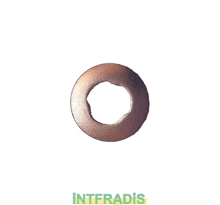Seal Ring, nozzle holder (10184)