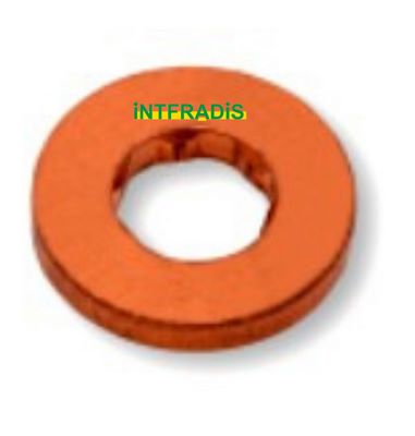 Seal Ring, nozzle holder (10154)
