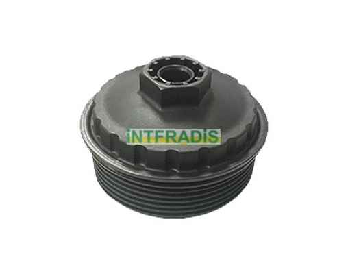 Cap, oil filter housing (2980)