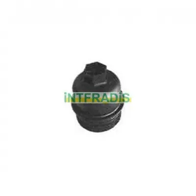 Cap, oil filter housing (2994)