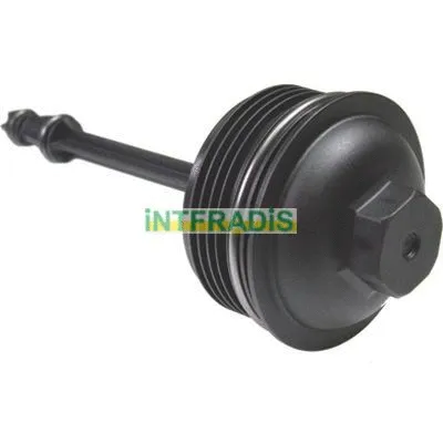 Cap, oil filter housing (2966)