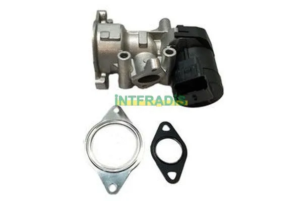 EGR Valve (2584)