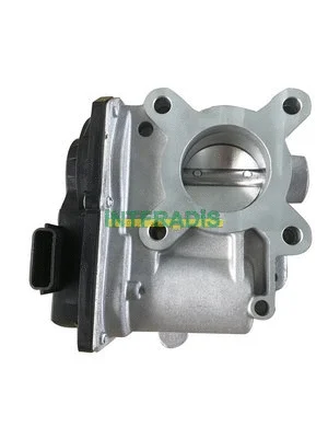 Throttle Body (28071)