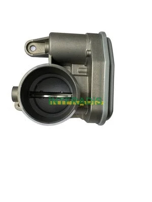 Throttle Body (28062)